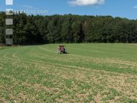 Raps Herbstdüngung 6