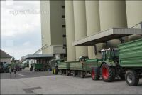 Deliver wheat 86
