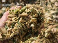 Shredlage Maissilage 6