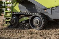 Soya harvest 159