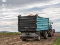 Kartoffel Transport 4