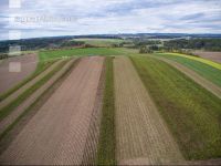 Industriekartoffel Ernte 64
