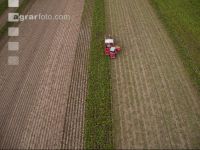 Industriekartoffel Ernte 62
