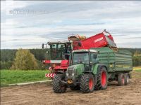 Industriekartoffel Ernte 54