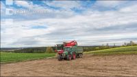 Industriekartoffel Ernte 53