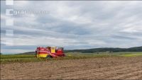 Industriekartoffel Ernte 51