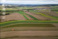 Industriekartoffel Ernte 48