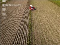 Industriekartoffel Ernte 44