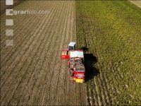 Industriekartoffel Ernte 42