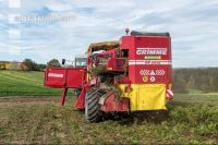 Industriekartoffel Ernte 37