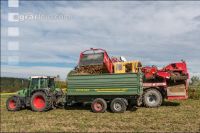 Industriekartoffel Ernte 24