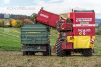 Speisekartoffel Ernte 22