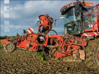 Sugar beets harvest 178