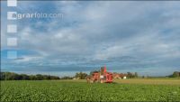 Sugar beets harvest 169