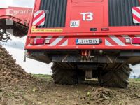 Sugar beets harvest 157