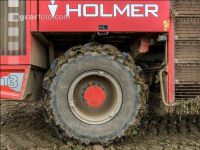 Sugar beets harvest 156