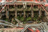 Sugar beets harvest 155