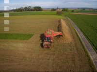 Sugar beets harvest 153