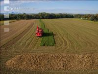 Sugar beets harvest 152