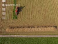 Sugar beets harvest 144
