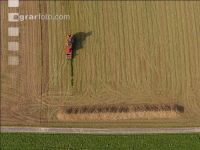 Sugar beets harvest 143