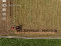 Sugar beets harvest 142