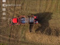 Sugar beets harvest 141