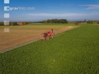 Sugar beets harvest 140