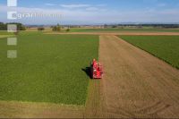 Sugar beets harvest 132