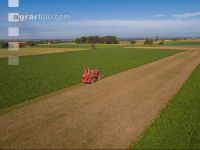 Sugar beets harvest 131
