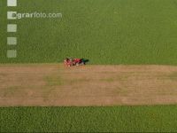 Sugar beets harvest 129