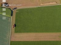 Sugar beets harvest 126