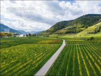 Wachau 36