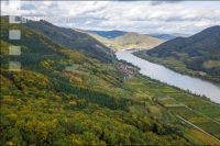 Wachau 31