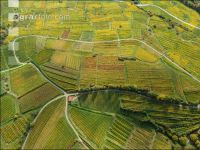 Wachau 28