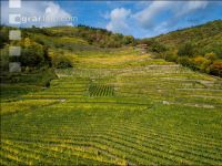 Wachau 26