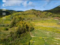 Wachau 25