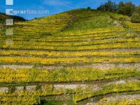 Wachau 23