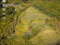 Wachau 22