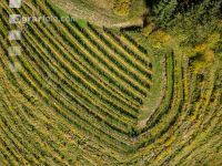 Wachau 21