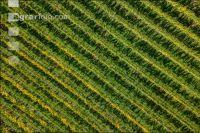 Wachau 18
