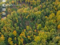 Mischwald im Oktober 7