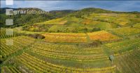 Wachau 16