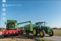 Maize harvest 248