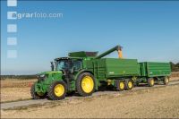 Maize harvest 247
