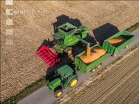 Maize harvest 236