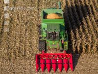 Maize harvest 229