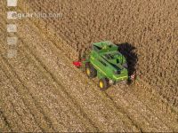 Maize harvest 227