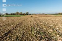 Maize chaff-cutter 21