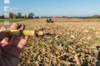 Maize chaff-cutter 20